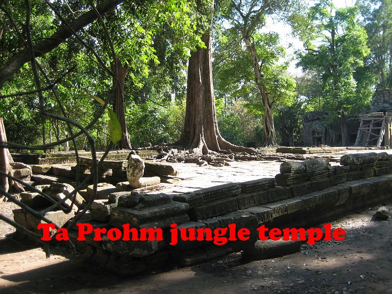 027010 Ta Prohm Jungle temple.JPG